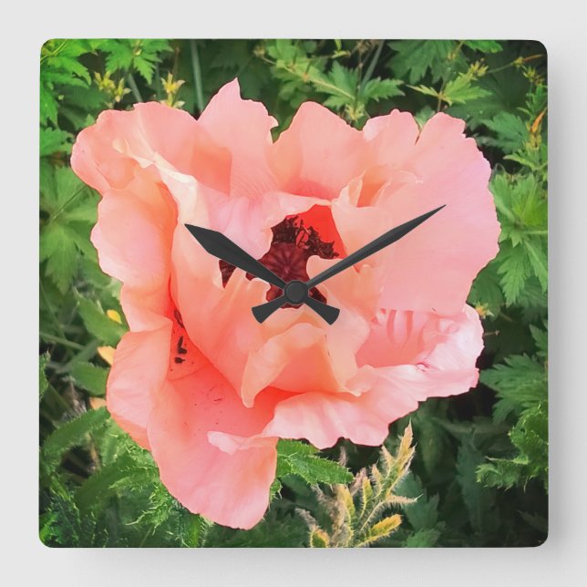 Reloj Cuadrado Una sola amapola (Anverso)
