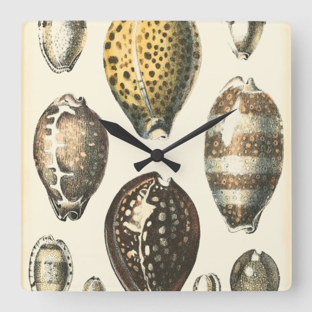 Reloj Cuadrado Uniquely Shaped Seashells (Anverso)