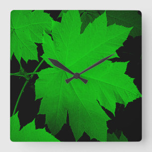 Reloj Cuadrado USA, Kansas, Oak Leaves In The Light