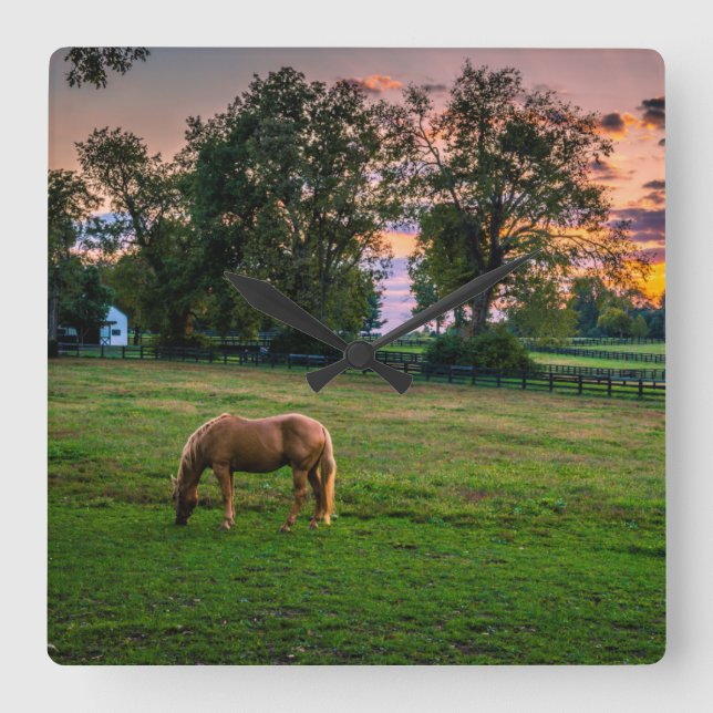 Reloj Cuadrado USA, Lexington, Kentucky. Lone horse at sunset 2 (Anverso)