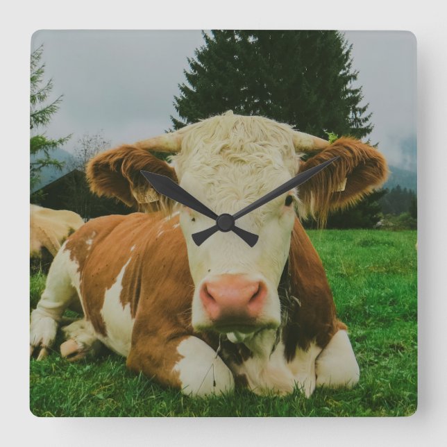 Reloj Cuadrado Vacas (Anverso)