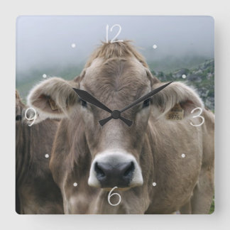 Reloj Cuadrado Vacas alpinas