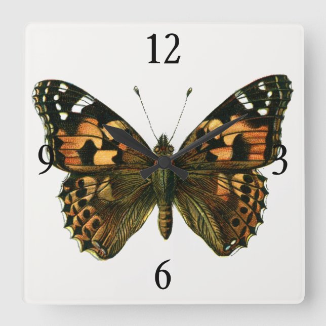 Reloj Cuadrado Vanessa Cardui - La Mariposa de la Señora Pintada (Anverso)