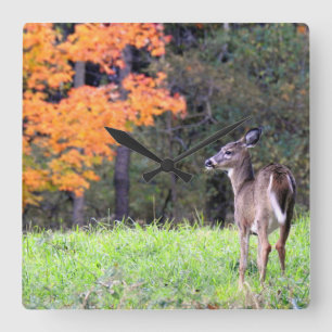 Reloj Cuadrado Venado en un campo de otoño