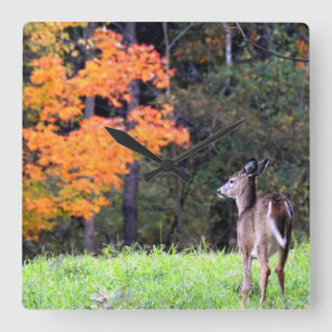 Reloj Cuadrado Venado en un campo II de otoño