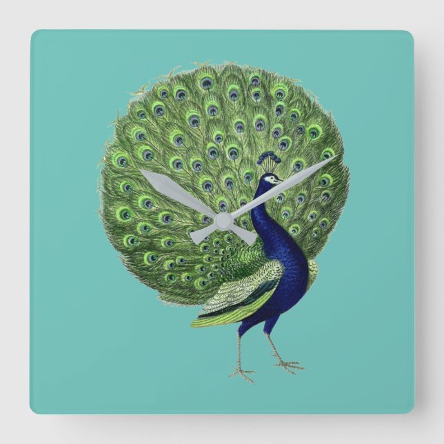 Reloj Cuadrado Ventilador de Peacock Open (Anverso)