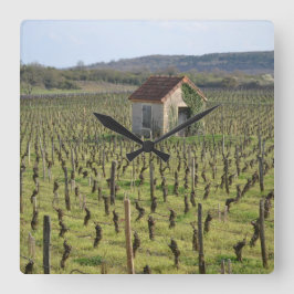 Reloj Cuadrado Viñedo en la Francia de Borgoña