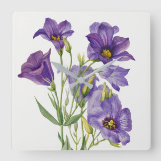 Reloj Cuadrado Vintage Mary Vaux Walcott Flowers Botanicals
