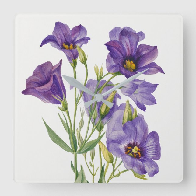 Reloj Cuadrado Vintage Mary Vaux Walcott Flowers Botanicals (Anverso)