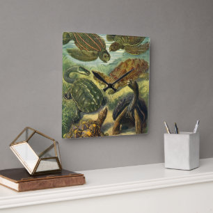 Reloj Cuadrado Vintage Sea Turtles and Tortoises by Ernst Haeckel