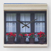 Viviendas con flores en ventanas