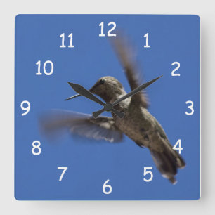 Reloj Cuadrado Vuelo del colibrí