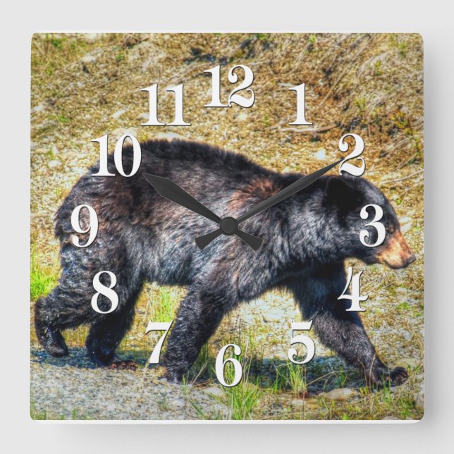 Reloj Cuadrado Walking Black Bear Wildlife Photo Art (Anverso)