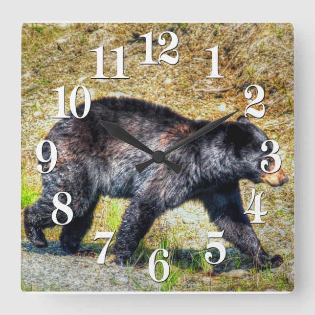 Reloj Cuadrado Walking Black Bear Wildlife Photo Art (Anverso)