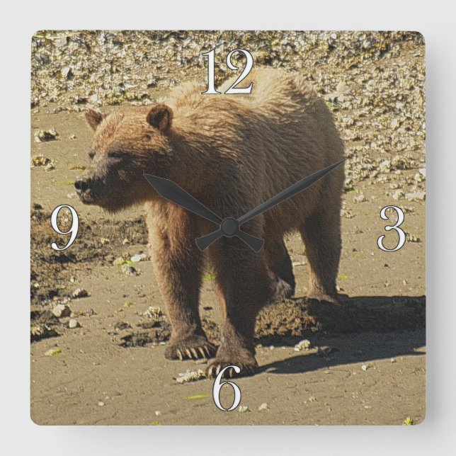 Reloj Cuadrado Walking Wild Grizzly Bear Wildlife Photo 2 (Anverso)
