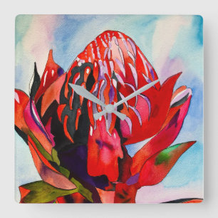 Reloj Cuadrado Waratah Flor acuática nativa australiana