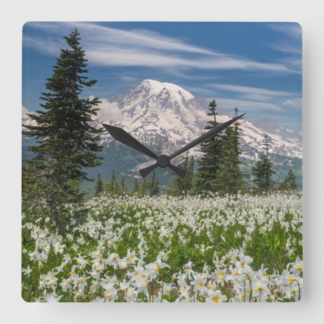Reloj Cuadrado Washington, Parque Nacional Mount Rainier 1 (Anverso)