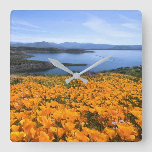 Reloj Cuadrado Water | California Lake With Golden Poppies (Anverso)