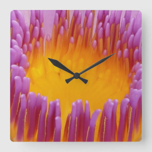 Reloj Cuadrado Water Lily 1 Clocks de pared y opciones numéricas