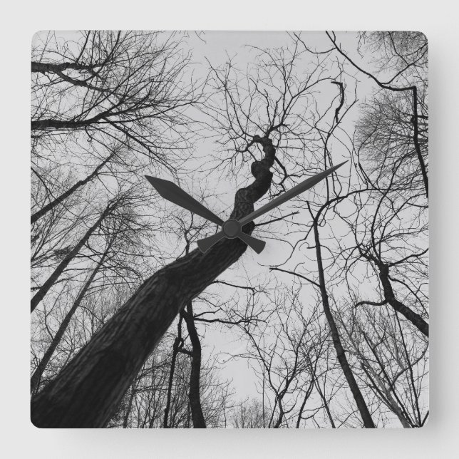 Reloj Cuadrado Wavy_Tree_Clock (Anverso)