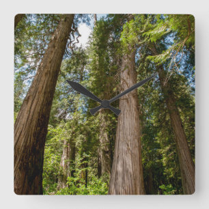 Reloj Cuadrado Western Red Cedar Trees