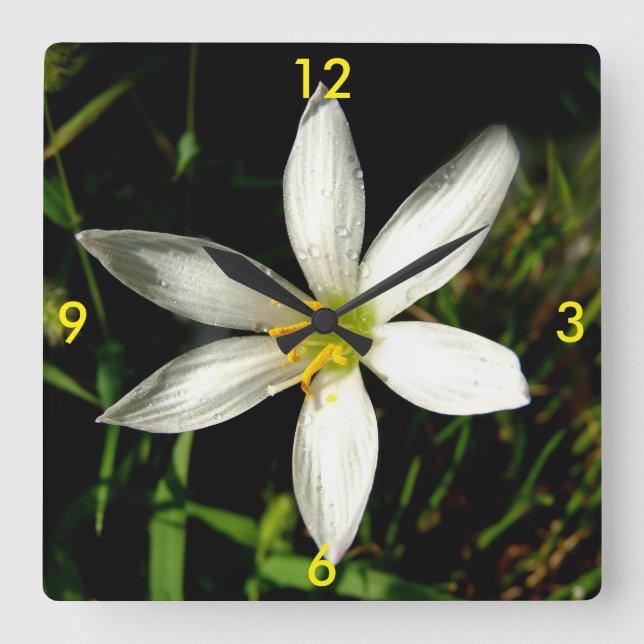 Reloj Cuadrado White Beauty Clocks (Anverso)