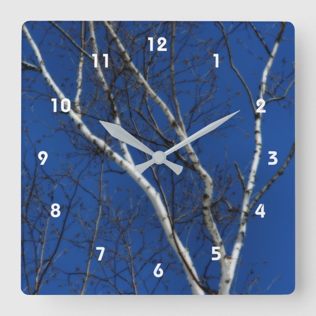 Reloj Cuadrado White Birch Tree Blue Sky Nature Orton Effect  (Anverso)