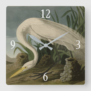 Reloj Cuadrado White Heron, Great Egret, Audubon Birds of America