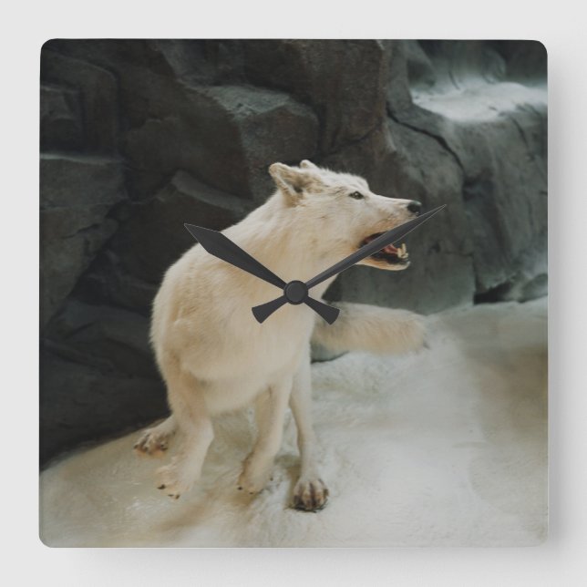 Reloj Cuadrado White Wolf (Anverso)