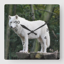 Reloj Cuadrado White Wolf salvaje