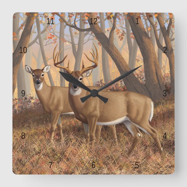 Reloj Cuadrado Whitetail Deer Buck & Doe Autumn Maple Woods