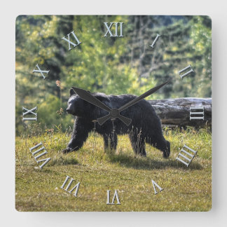 Reloj Cuadrado Wild Black Bear & Canadian Forest Photo Art