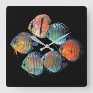 Reloj Cuadrado Wild Discus fish