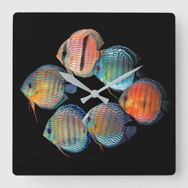 Reloj Cuadrado Wild Discus fish (Anverso)