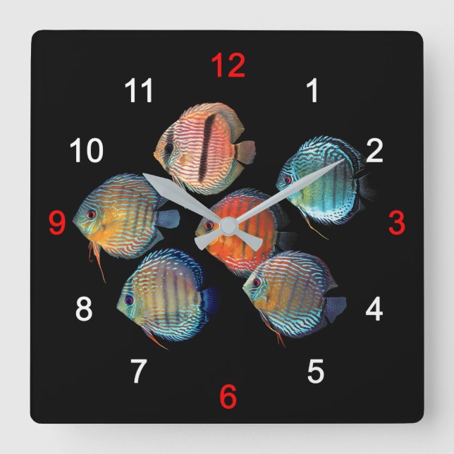 Reloj Cuadrado Wild Discus fish (Anverso)