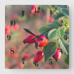 Reloj Cuadrado Wild rose berries