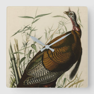Reloj Cuadrado Wild Turkey (Male) from Audubon's Birds of America