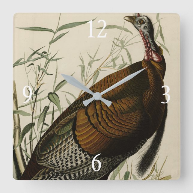 Reloj Cuadrado Wild Turkey (Male) from Audubon's Birds of America (Anverso)