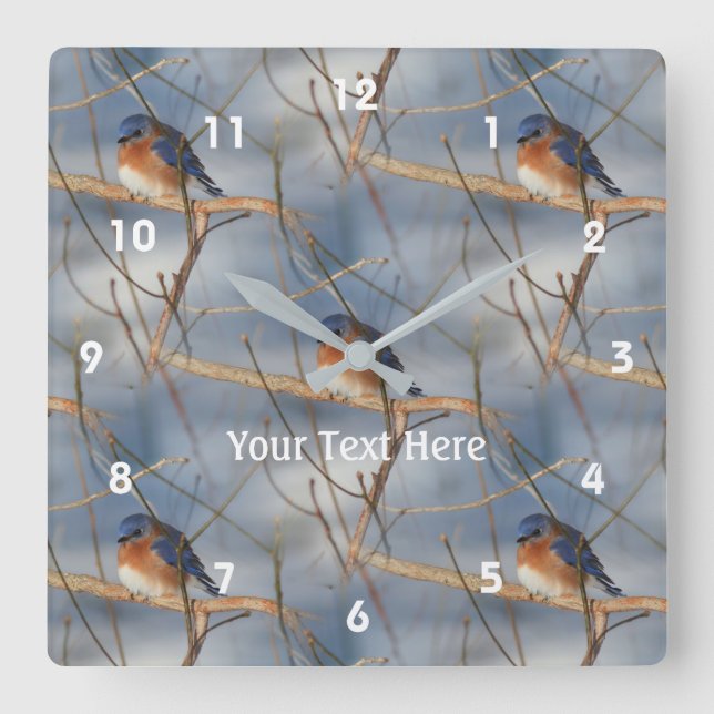 Reloj Cuadrado Winter Bluebird Nature Pattern (Anverso)