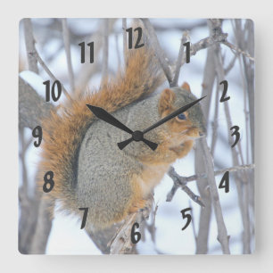 Reloj Cuadrado Winter Squirrel