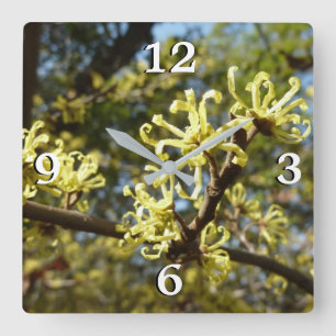 Reloj Cuadrado Witch Hazel Flowers
