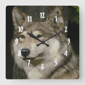 Reloj Cuadrado Wolf