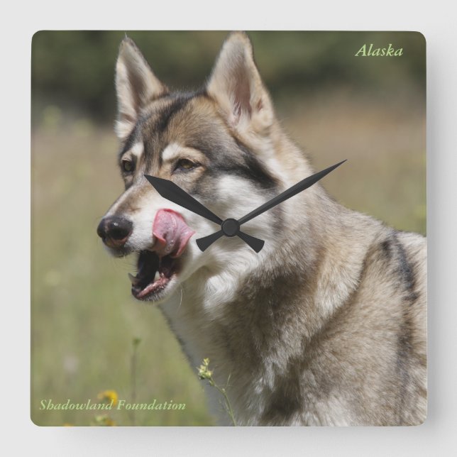 Reloj Cuadrado Wolf Clock (Anverso)
