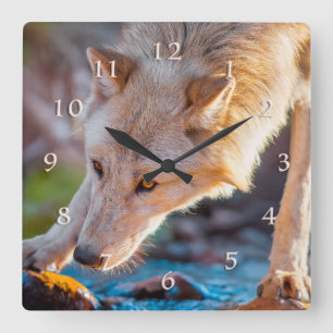 RELOJ CUADRADO WOLF MONTAIN STREAM QUENCHER