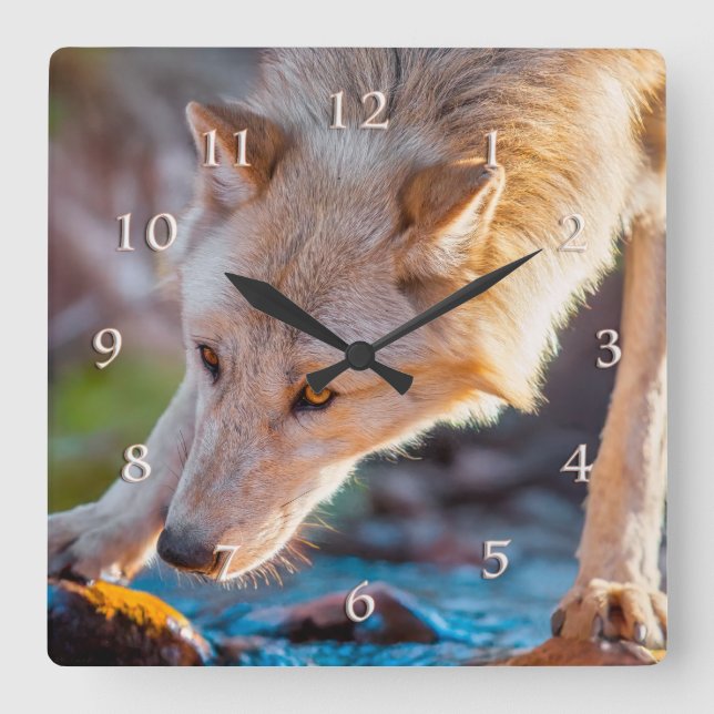 RELOJ CUADRADO WOLF MONTAIN STREAM QUENCHER (Anverso)