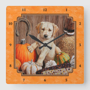 Reloj Cuadrado Yellow Lab Pup y Pumpkin Harvkin Naranja