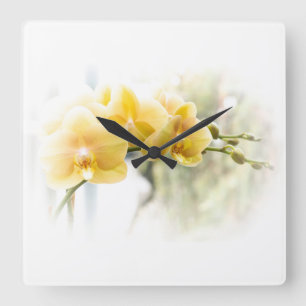 Reloj Cuadrado Yellow Moth Orchid in Sunshine