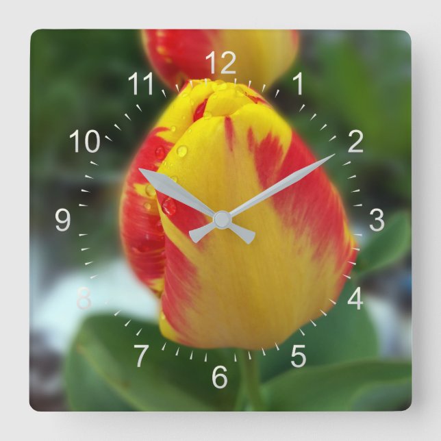 Reloj Cuadrado yellow red tulips (Anverso)