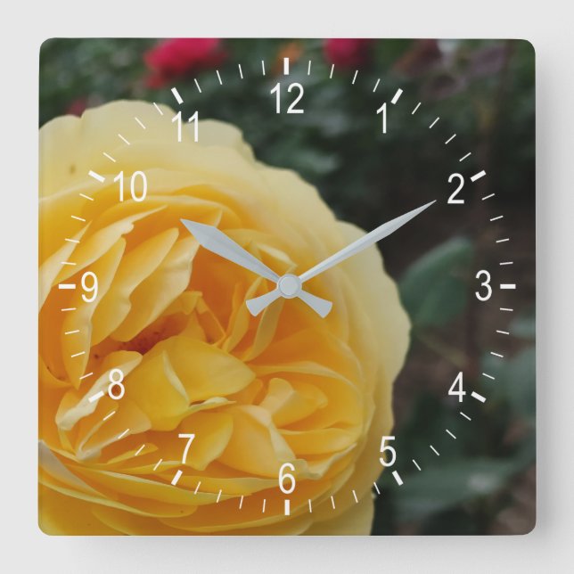 Reloj Cuadrado Yellow rose flower square wall clock (Anverso)