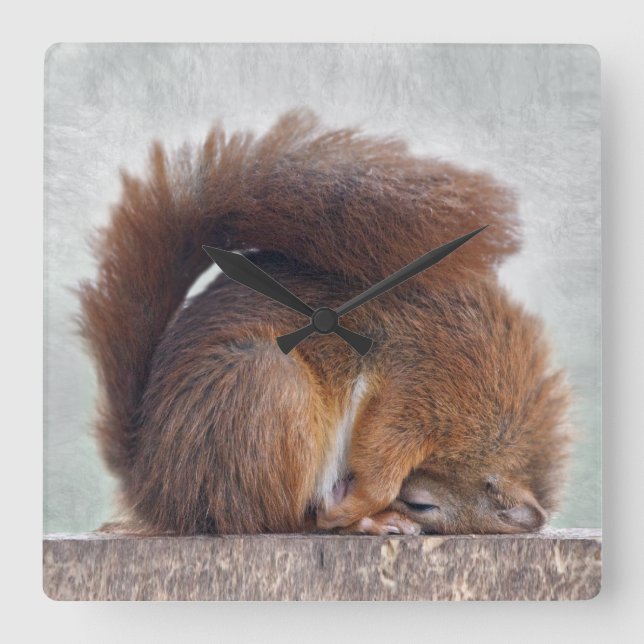 Reloj Cuadrado Yoga Squirrel Clock (Anverso)